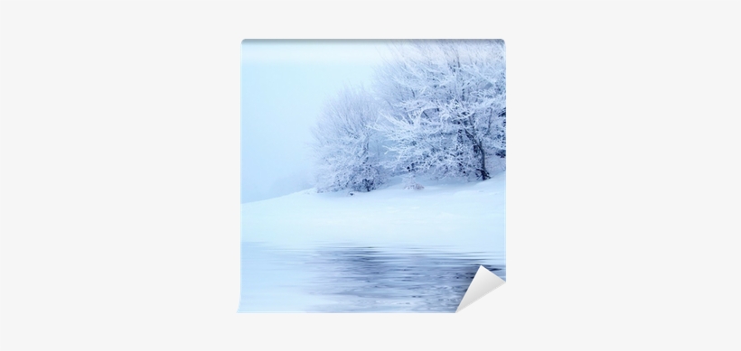 Wallpaper, transparent png download