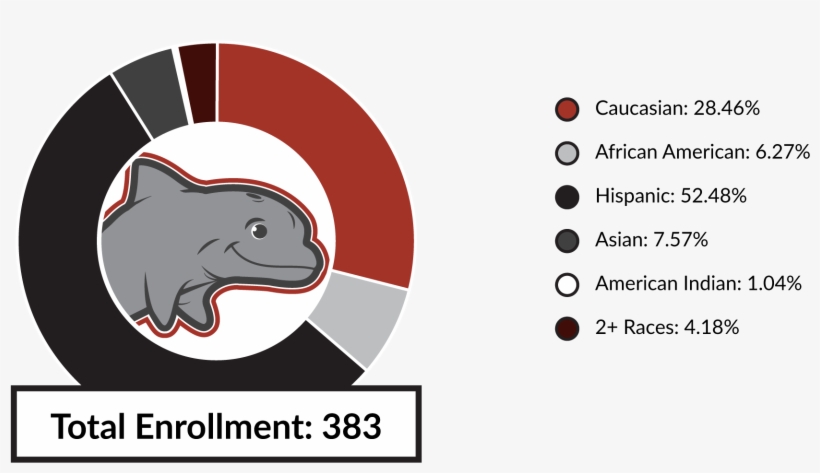 Total Enrollment 383 Caucasian - Hispanic, transparent png download