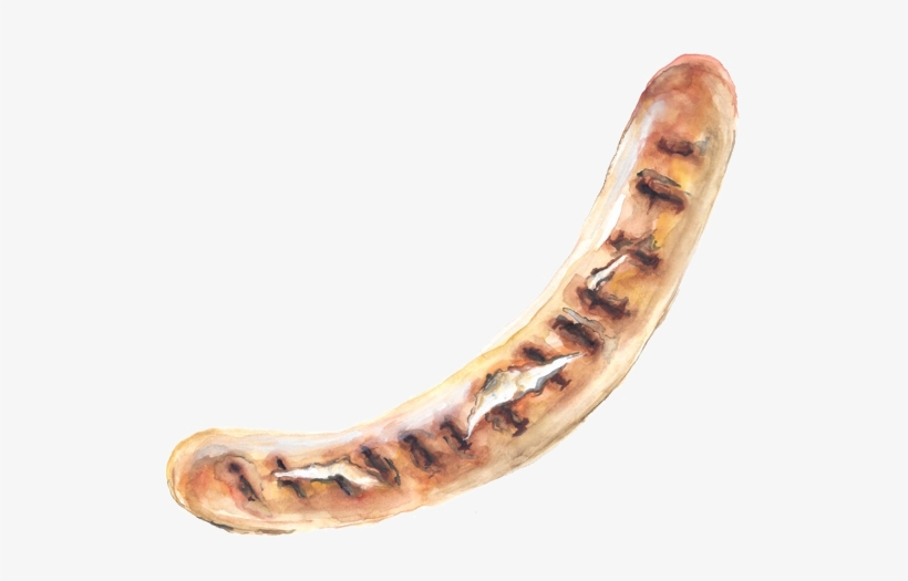 Illustration Bratwurst - Illustration, transparent png download