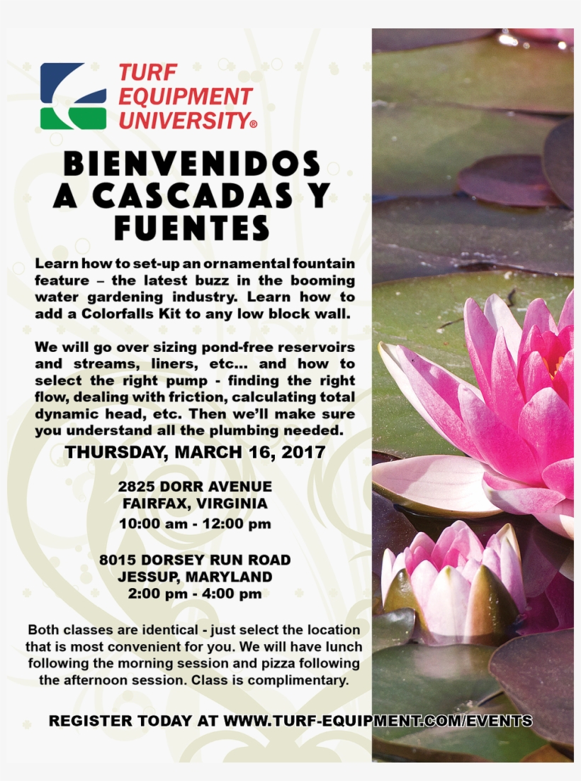 Hispanic Water Features Class - Sacred Lotus, transparent png download