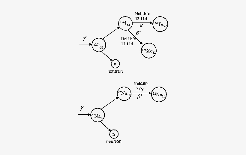 Transmutation Processes Of 23 Na And 127 I - Sodium, transparent png download