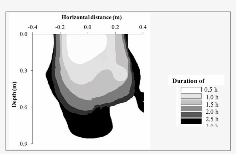 The Shape Of The Wetting Bulb As Wetting Time Progressed - Cartoon, transparent png download