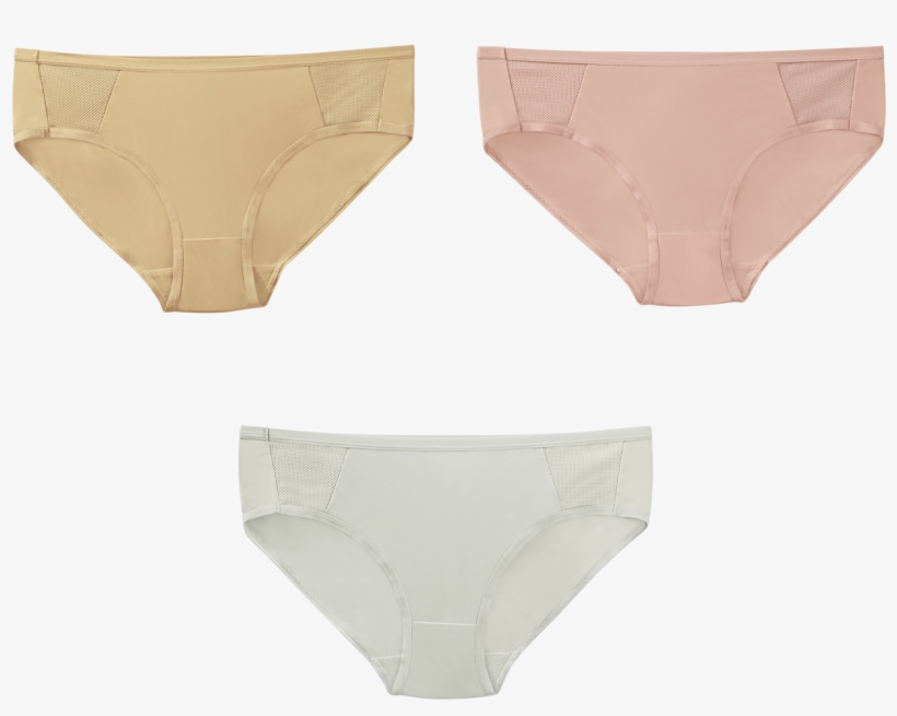 Composed Of Three Printed And Two Solid Panties In - Panties, transparent png download
