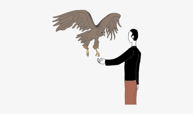 Buzzard, transparent png download