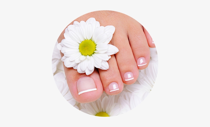Beyond Beauty - Pedicures 12"w X 18"h Store Nails Retail Beauty Salon, transparent png download