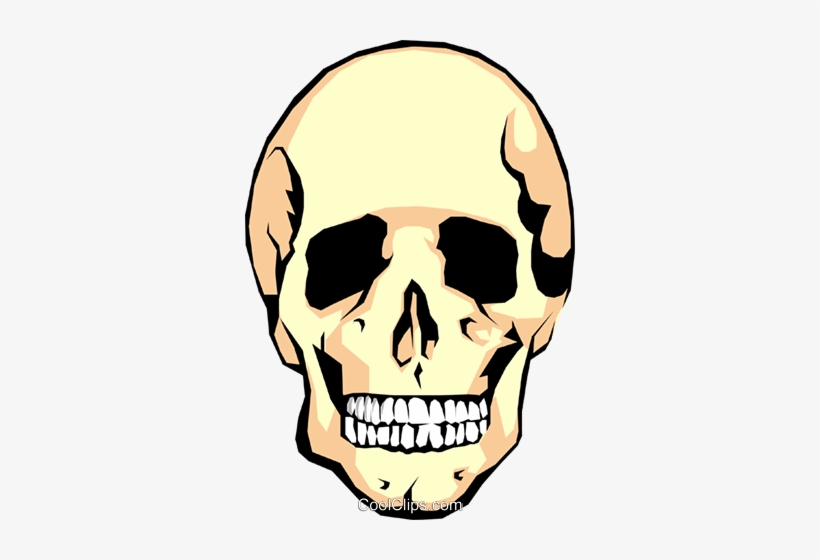 Human Skull Royalty Free Vector Clip Art Illustration - Death By Food: Why More People In North America Die, transparent png download