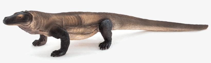 Prehistoric Komodo Dragon Toy, transparent png download