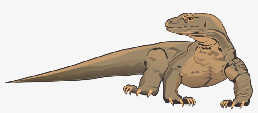 Komodo Dragon Transparent Background - Komodo Dragon Clip Art, transparent png download