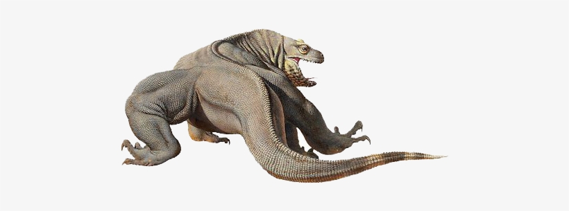 Miniature Horses - Transparent Komodo Dragon Png, transparent png download