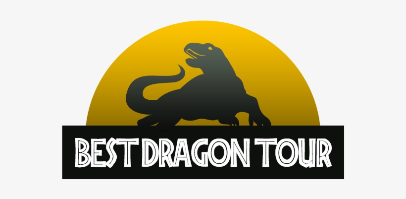Komodo Dragon, transparent png download