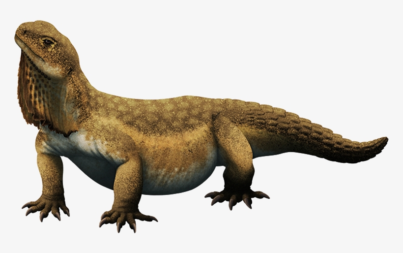 Tumblr Pbya1yk18u1s5f2yxo1 1280 - Wiki, transparent png download