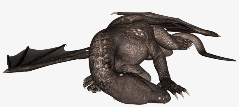Dragon3 Resting - Portable Network Graphics, transparent png download