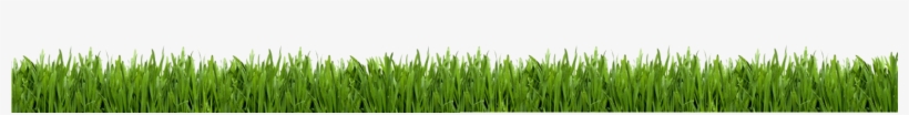 Golf Grass Png - Lawn Care Business Guide [book], transparent png download