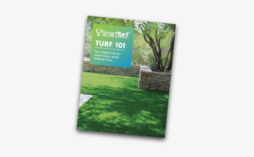 Your All In One Guide To Artificial Grass - Lawn, transparent png download
