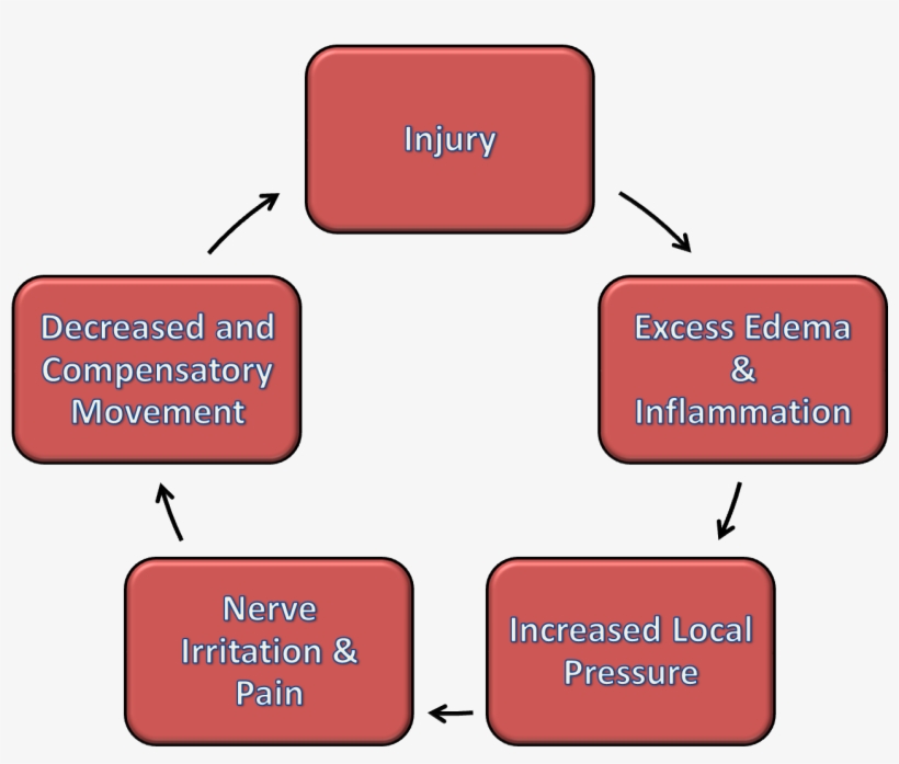 Injury-cycle - Benefits Of Icing Injury, transparent png download