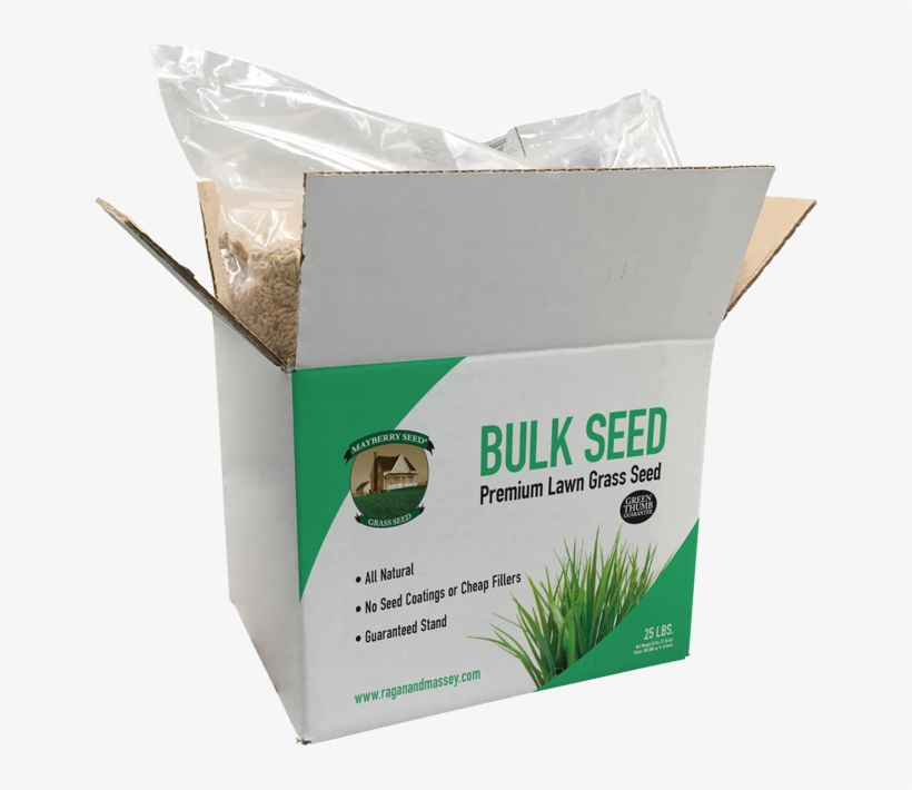Mayberry™ Turf Seed - Lawn, transparent png download