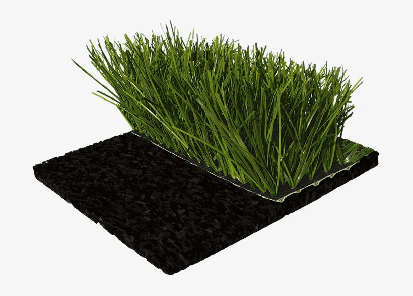 Sportec Team Cup - Artificial Turf, transparent png download