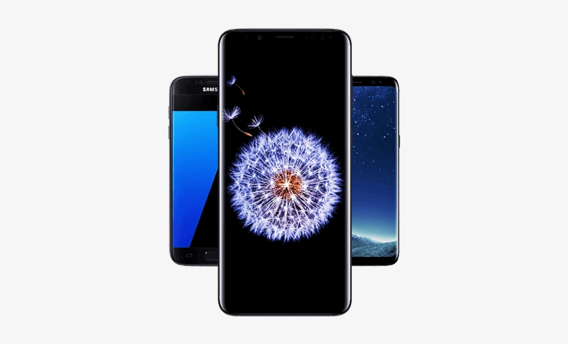Choose Your Galaxy - Dandelion Wallpaper 4k, transparent png download