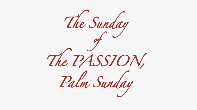 Palm Sunday Red Wh Ds Title - Calligraphy, transparent png download