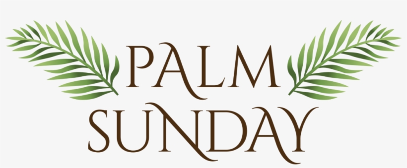 Bulletin For Palm Sunday March 25, 2017 - Pax Alla Romana: Gli Eterni Vizi Del Potere, transparent png download