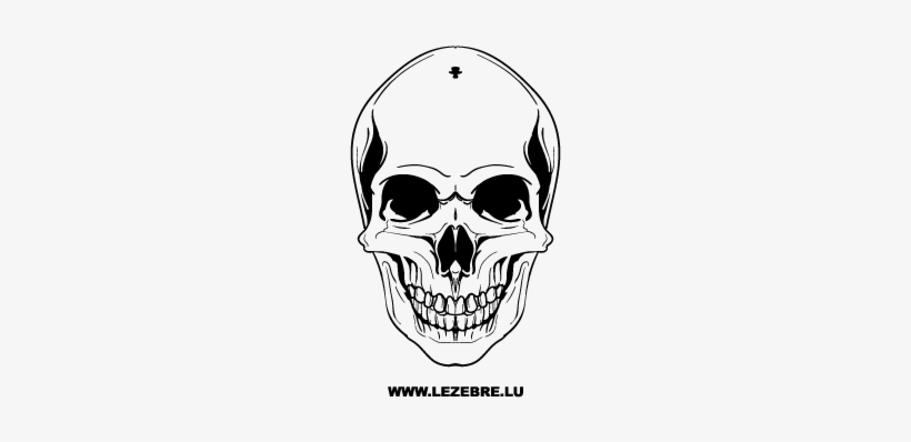 Art Projects - Cafepress Skull 5'x7'area Rug, transparent png download