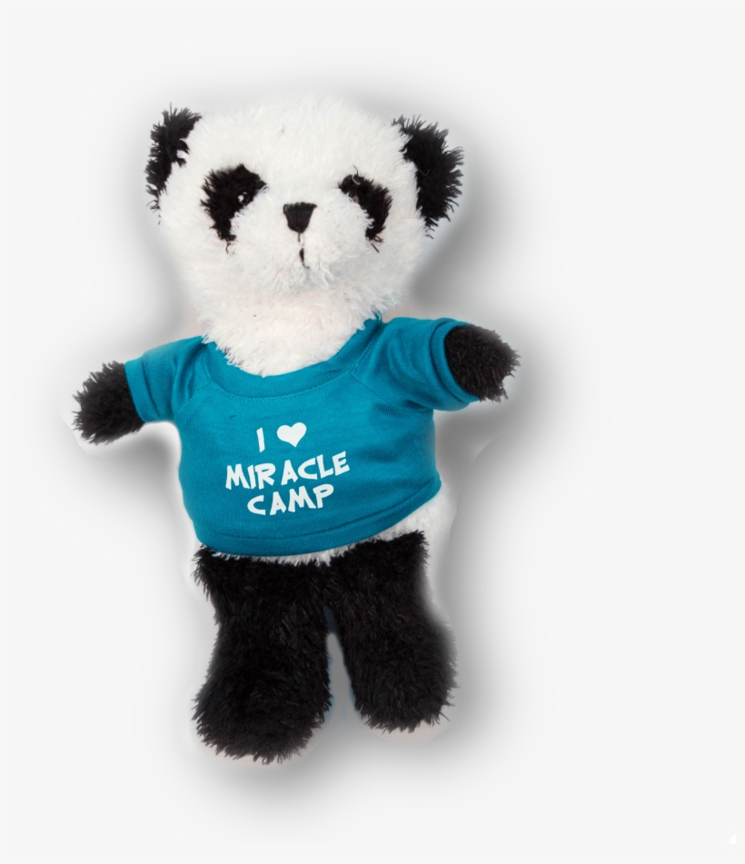 Teddy Bear, transparent png download