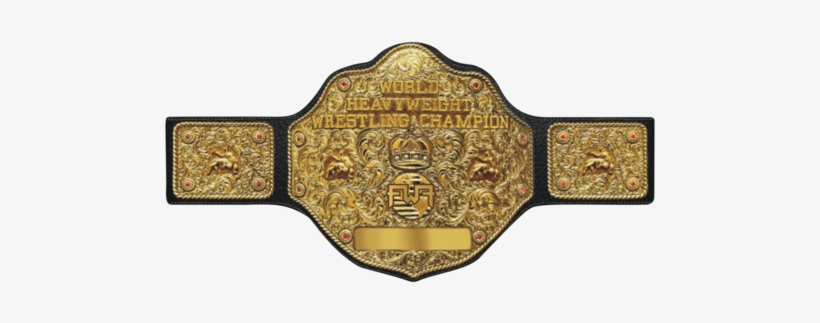 Fwf World Heavyweight Title - Wcw World Heavyweight Championship, transparent png download