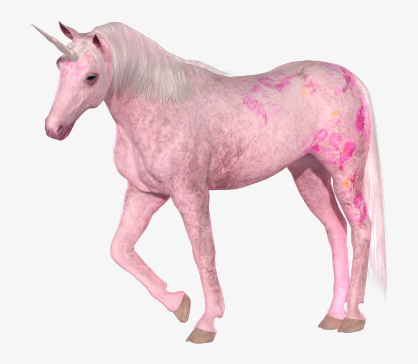 Let Us Say That Everybody In The World Believed That - Pink Unicorn, transparent png download