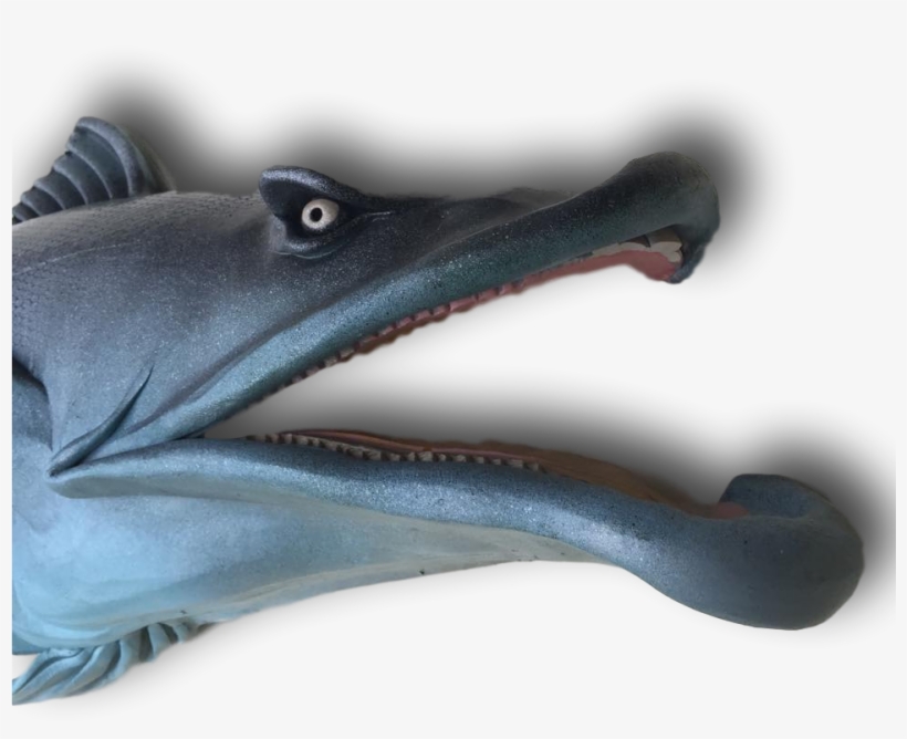 Mutant Trout Fish With Attitude - Crocodile, transparent png download