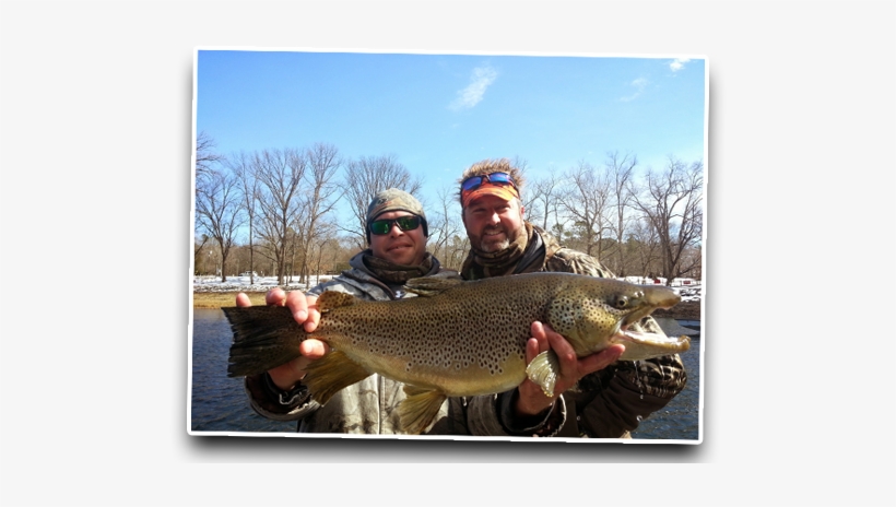 “michael Osborn Guide Fishing Services Is A Class Act - Pull Fish Out Of Water, transparent png download