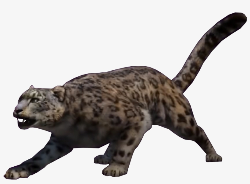 Snow Leopard - Far Cry 4 Леопард, transparent png download