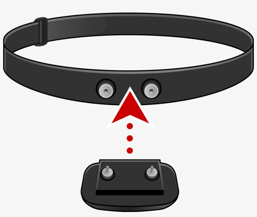 Tomtom Heart Rate Strap, transparent png download