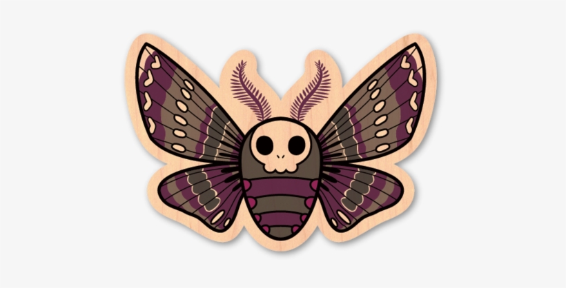 Skull Moth - Moth, transparent png download