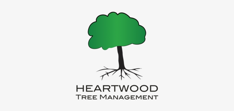 Hedge Removal Bournemouth - Tree Clip Art, transparent png download