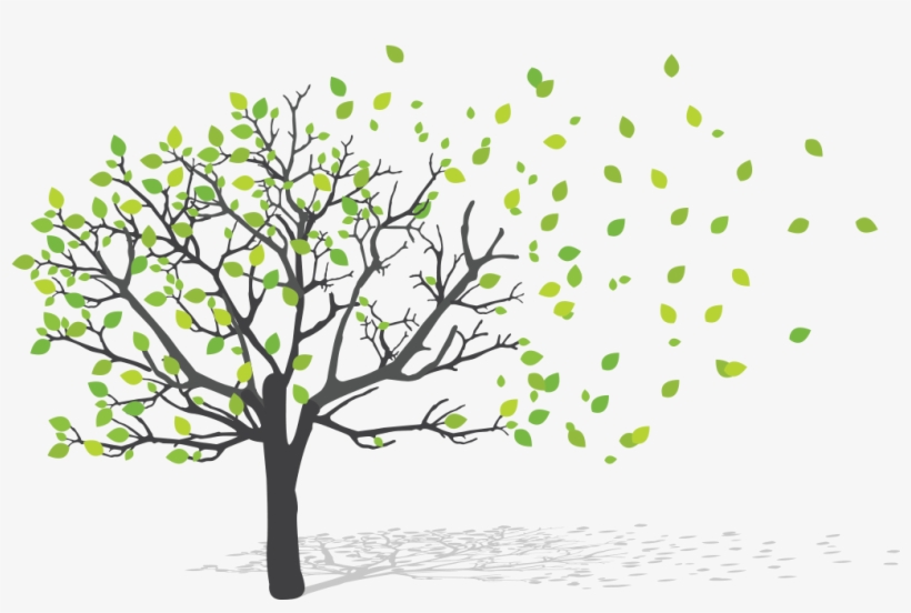 Our Services - Green Earth Png, transparent png download