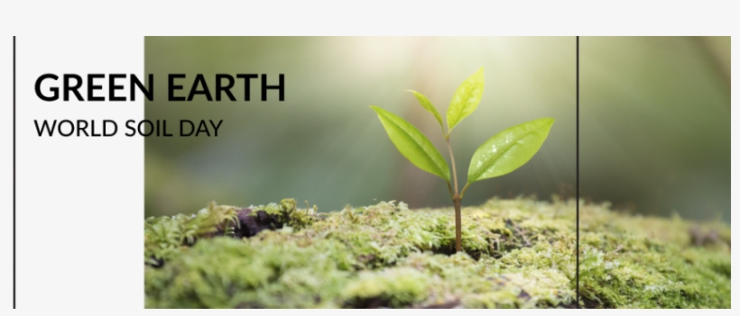 Green Earth - Tree, transparent png download