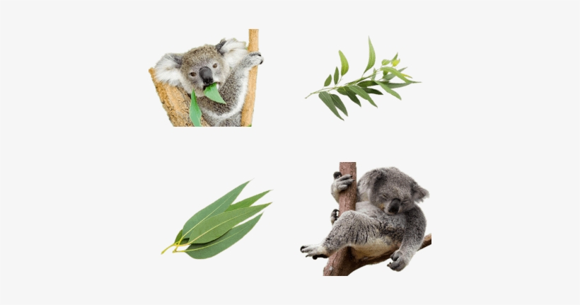 Meine Ziele, Meine Ausreden Und Ich By Michael Behn, transparent png download