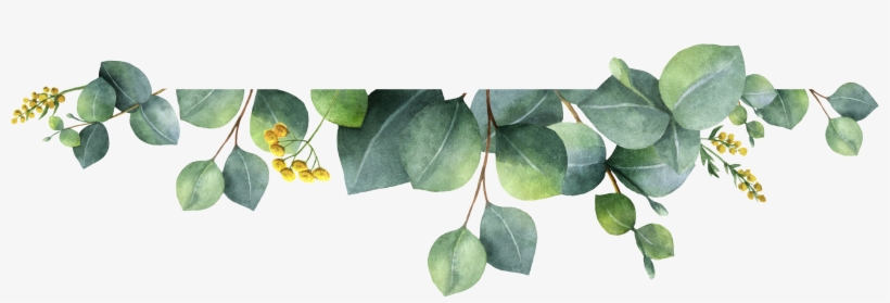 Home - - Watercolor Leaf Banner, transparent png download