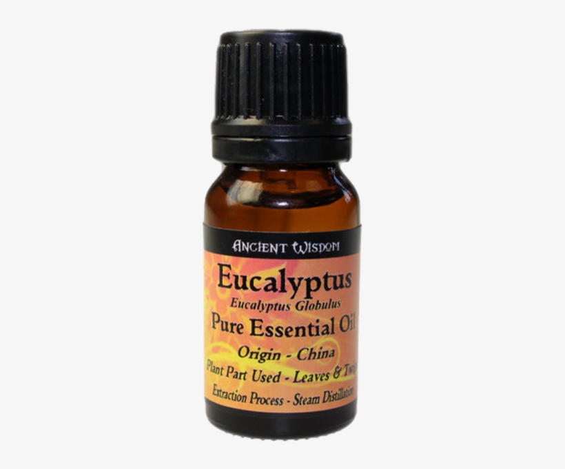 Eucalyptus Essential Oil - Ancient Wisdom Spikenard Essential Oil, transparent png download