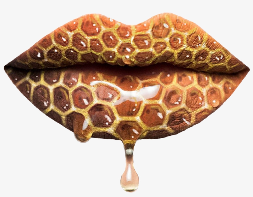 Report Abuse - Makeup Inspired By Nature, transparent png download