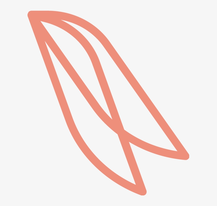 Women, transparent png download