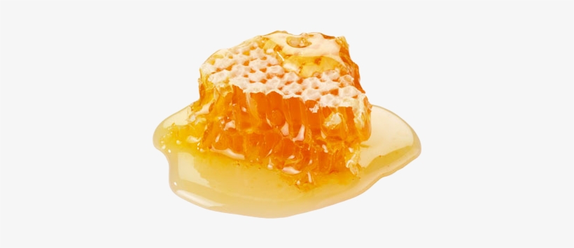 Wax Prismatic Hexagonal Cells That Are Built By Honeybees - Honey Png, transparent png download