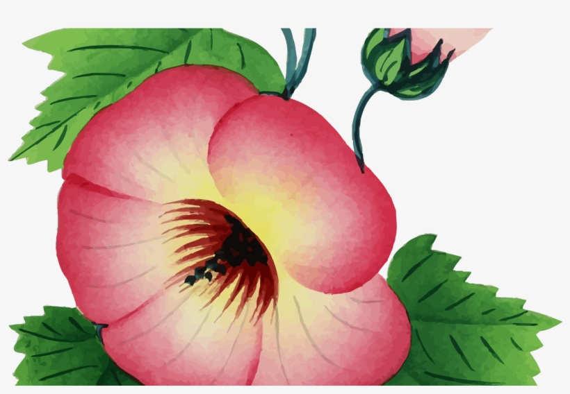 Clipart Flower Illustration - Flower, transparent png download