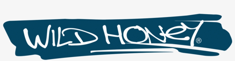 Logo - Student Doctor Network, transparent png download