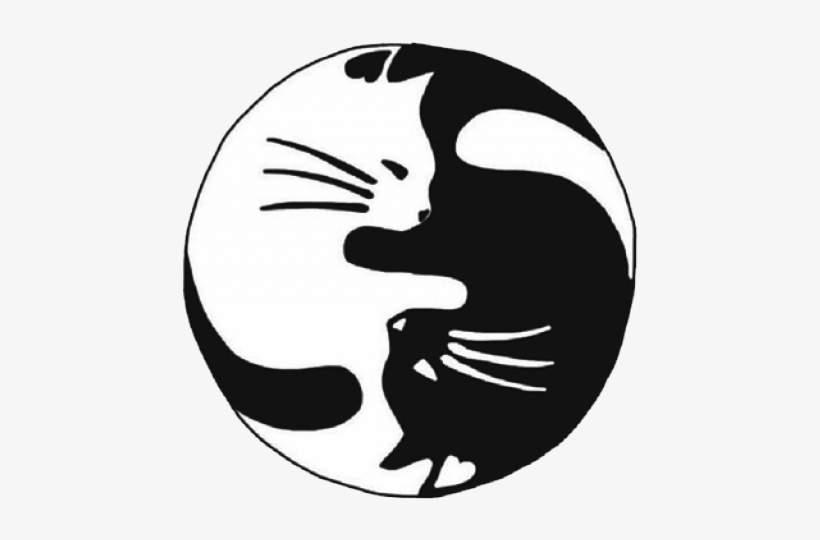Png Cat Yin Yang, transparent png download