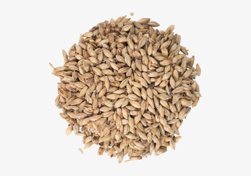 Gambrinus Honey Malt - Malt, transparent png download