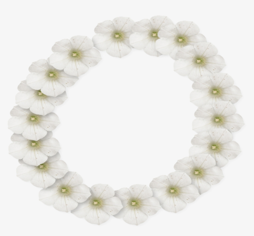 White Flower Frame Png Photo - Flower, transparent png download
