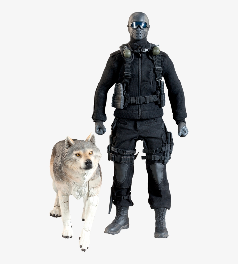 Joe Sixth Scale Figure Snake Eyes And Timber - Gi Joe Snake Eyes & Timber 1 6th Scale Collectible, transparent png download