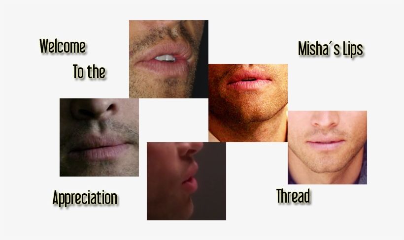 S U P P O R T E R S - Eyebrow, transparent png download