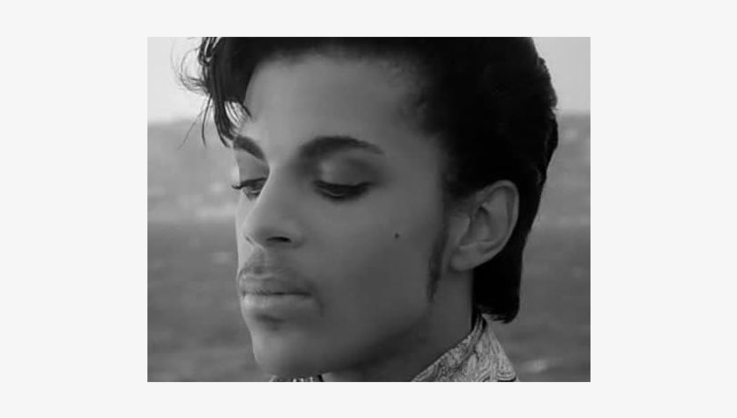 In Loving Memory Of The Purple - Prince, transparent png download